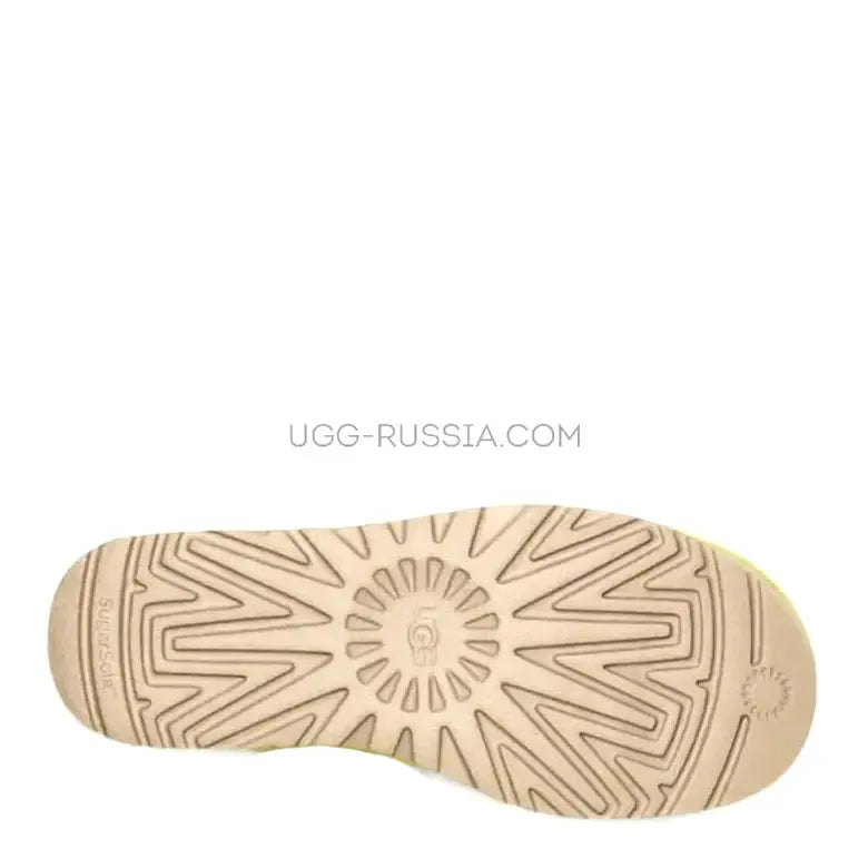 UGG Women Tazz Antilope